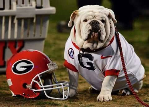Georgia Bulldogs 2016 NCAA Football Preview