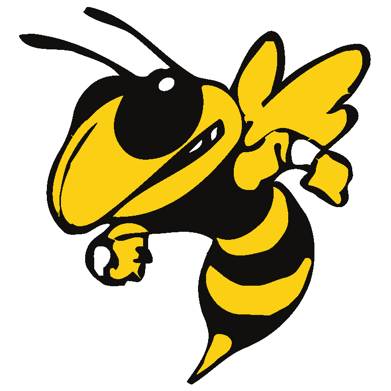 Georgia Tech 2016 Yellow Jackets NCAA Football Preview