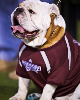 Mississippi St Bulldogs 2018 NCAA Football Preview