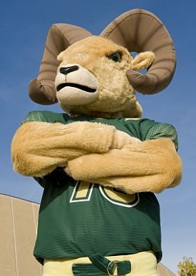 Colorado St Rams 2019 College Football Preview