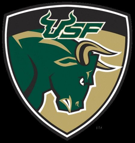 USF Bulls 2019 College Football Preview