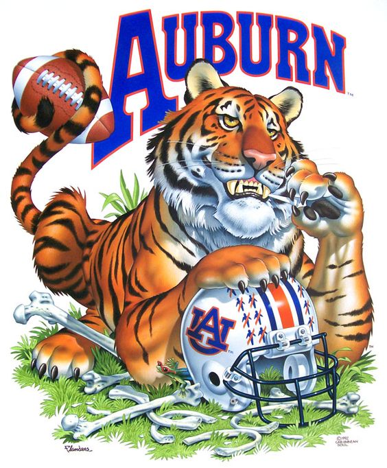 Auburn Tigers 2019 College Football Preview