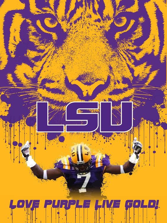 LSU Tigers 2019 College Football Preview