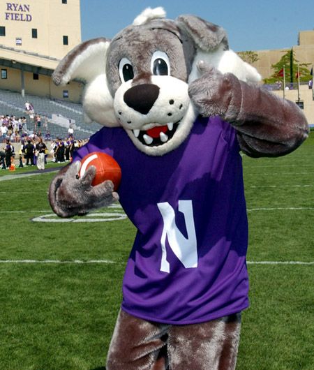 Northwestern Wildcats 2019 College Football Preview