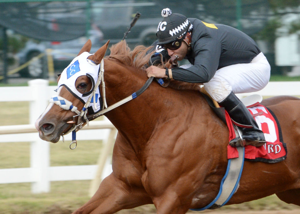 Horse Racing Will Rogers Downs April 14, 2020 MEGALOCKS