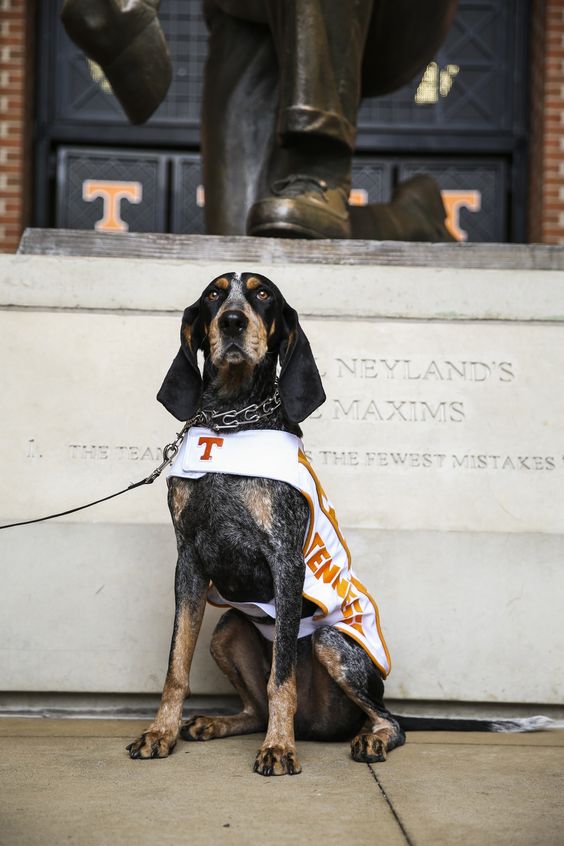 Tennessee Volunteers 2020 College Football Preview