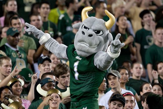 USF Bulls 2020 College Football Preview