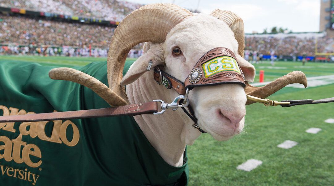 Colorado St Rams 2022 College Football Preview