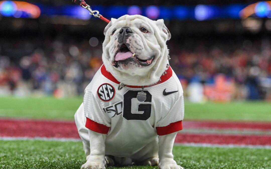 Georgia Bulldogs 2024 College Football Preview (free access)