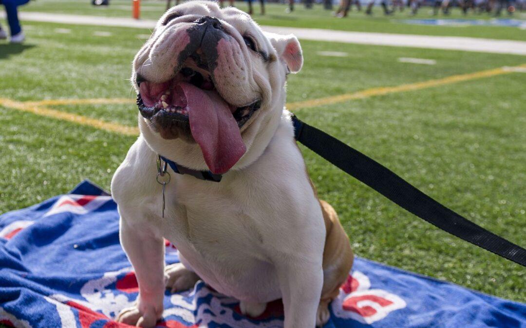 Louisiana Tech Bulldogs 2025 College Football Preview (free access)