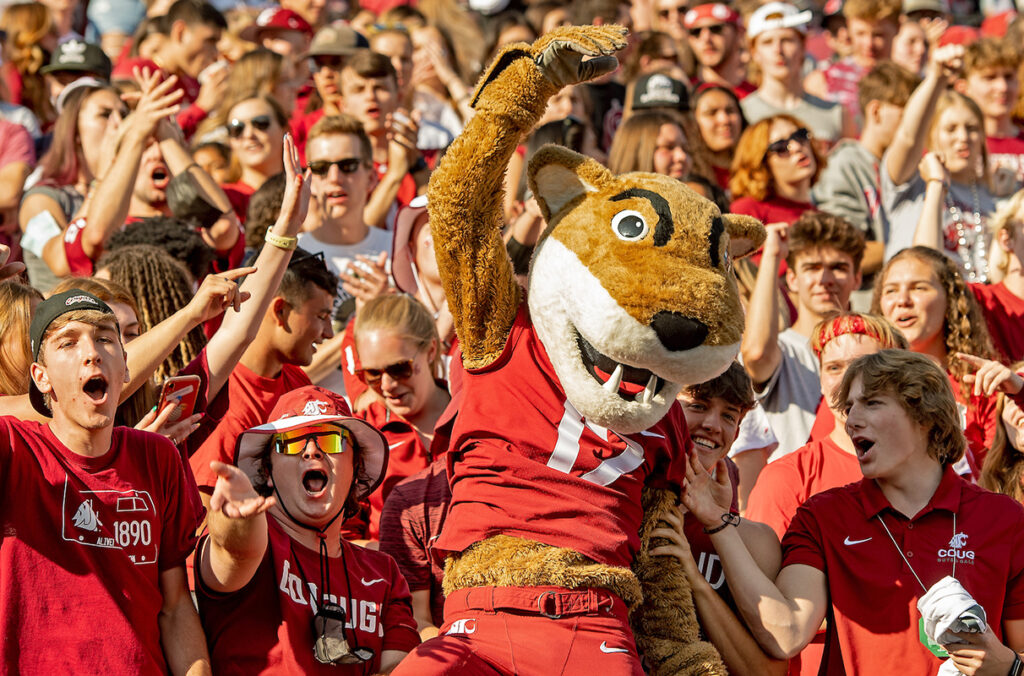Washington St Cougars 2026 College Football Preview