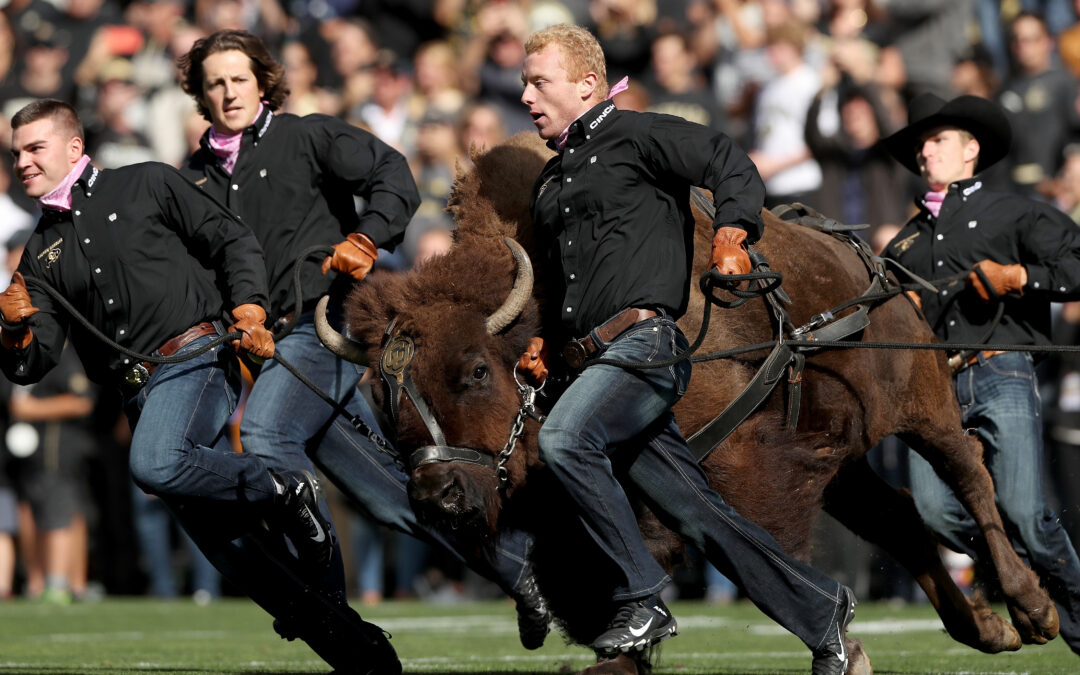 Colorado Buffaloes 2026 College Football Preview (Members)